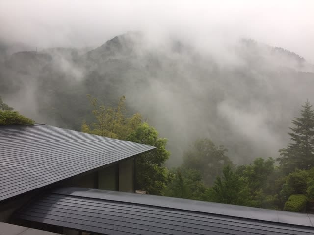 箱根現場
