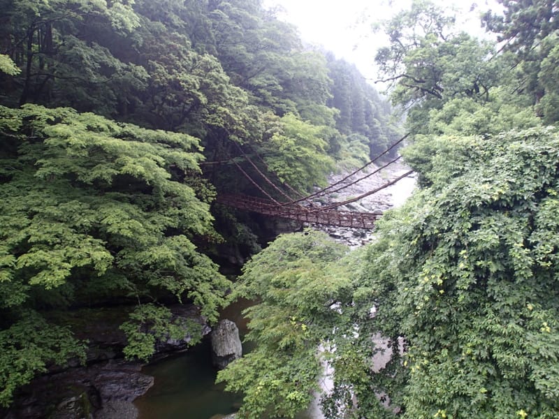 かずら橋